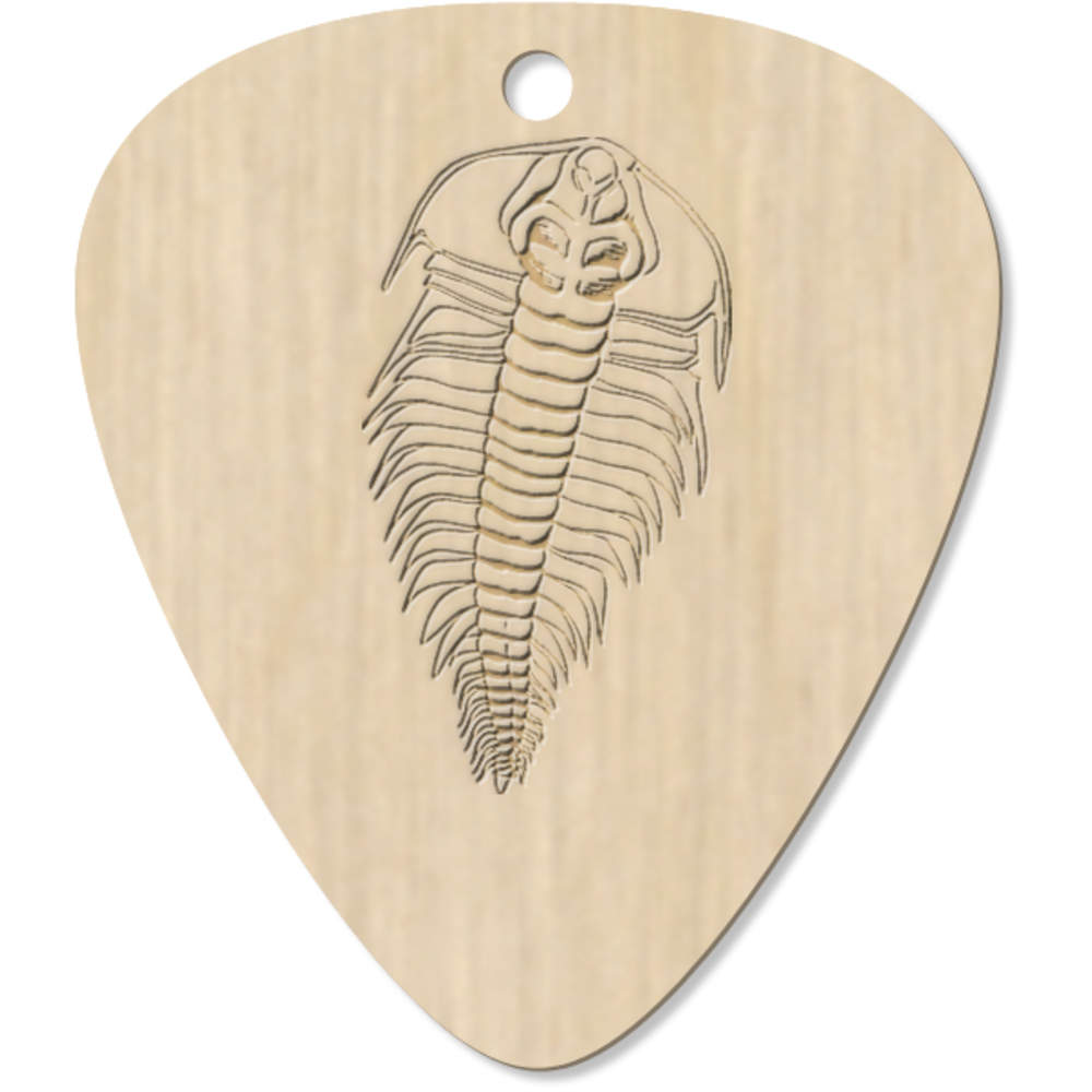 7 x 'Trilobite' Guitar Picks / Pendants (GP00004858)