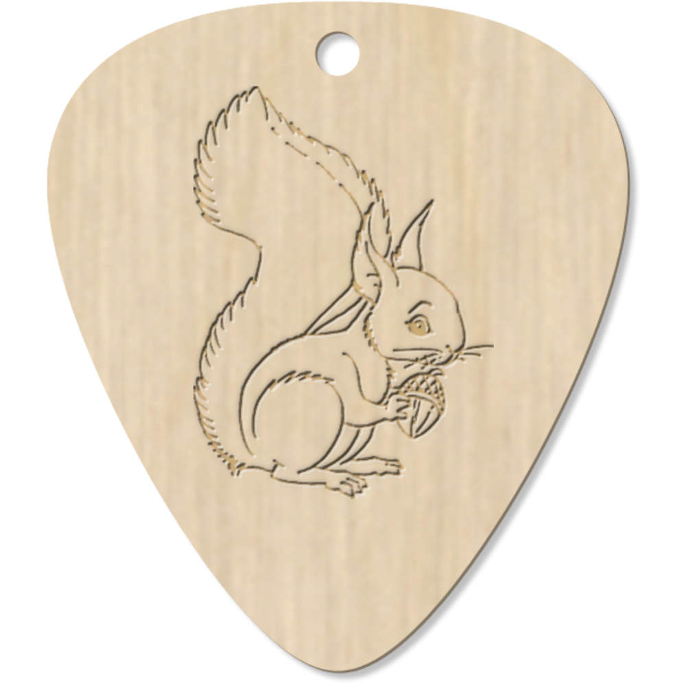 7 x 'Squirrel' Guitar Picks / Pendants (GP00006772)