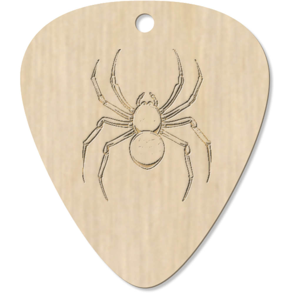 7 x 'Spider Top View' Wooden Guitar Picks / Plectrums - Laser Engraved Plectrums for Musicians, Pendants and Gifts (GP00032639)