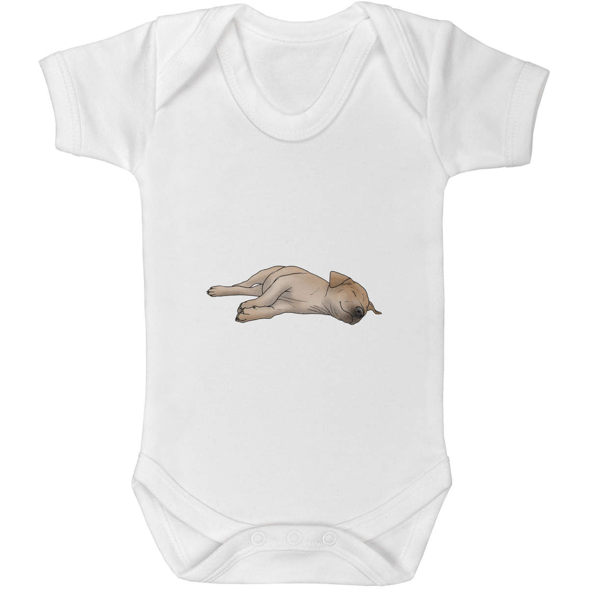 'Sleepy Labrador' Baby Grows / Bodysuits (GR035357)