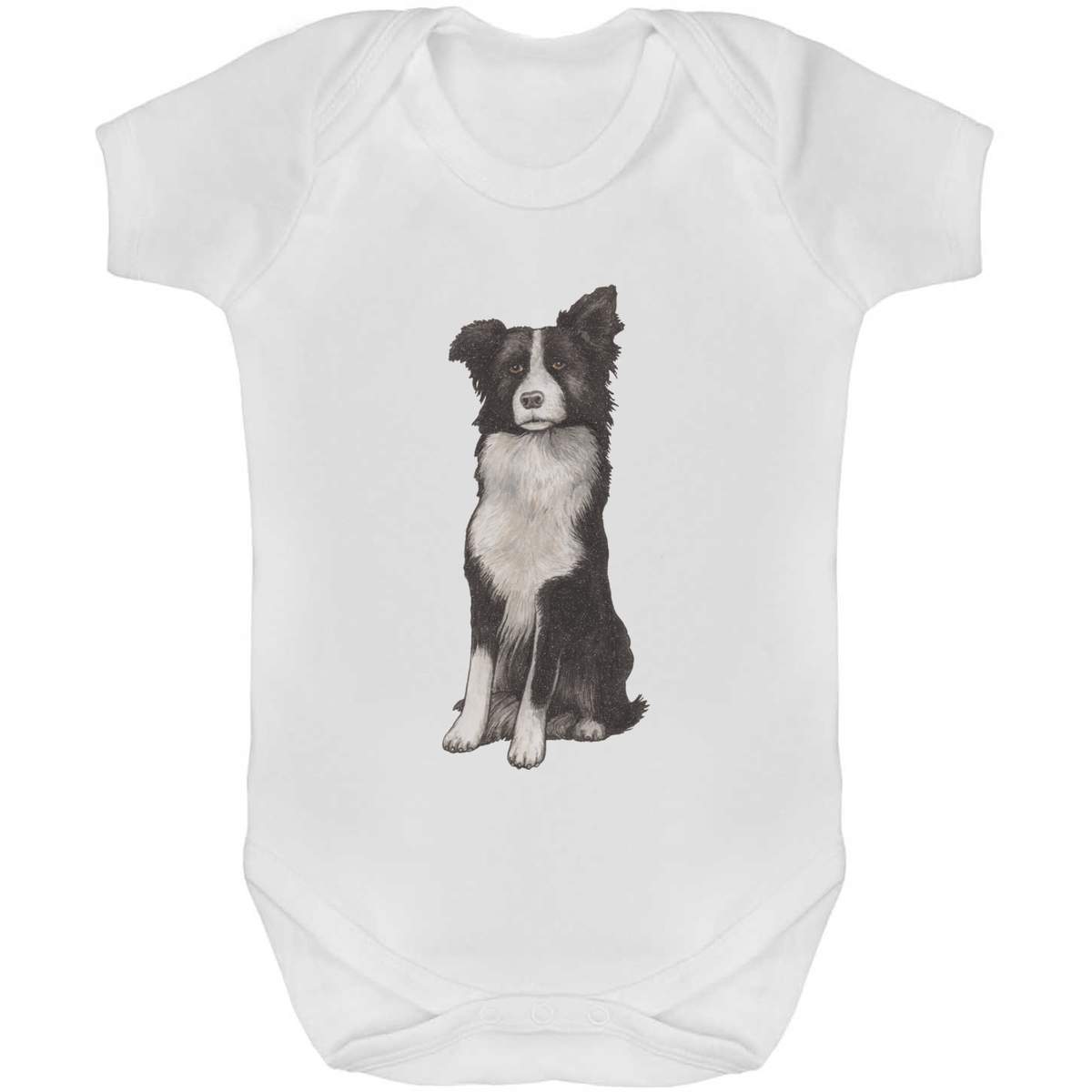 'Border Collie' Baby Grow / Bodysuit - White, 3-6 Months - Realistic Painted Shepherd Dog Portrait - Cotton One Piece Outfit for Newborns, Infants and Baby Gifts (GR00084769)