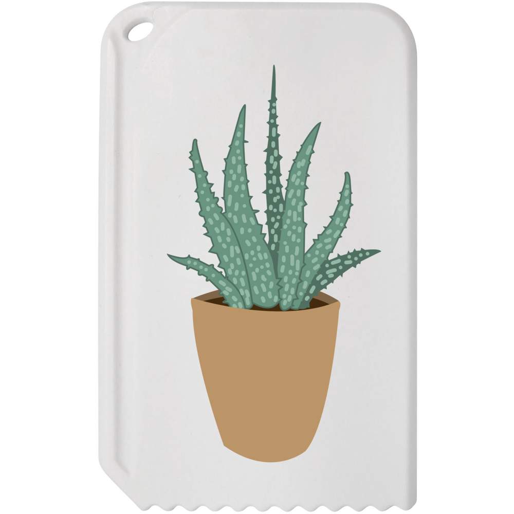 'Aloe Vera' Plastic Ice Scraper (IC00012356)
