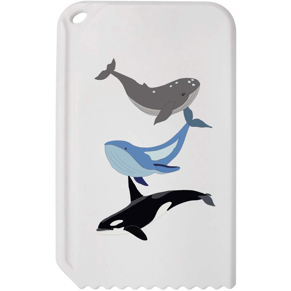 'Swimming Whales' Plastic Ice Scraper (IC00020403)