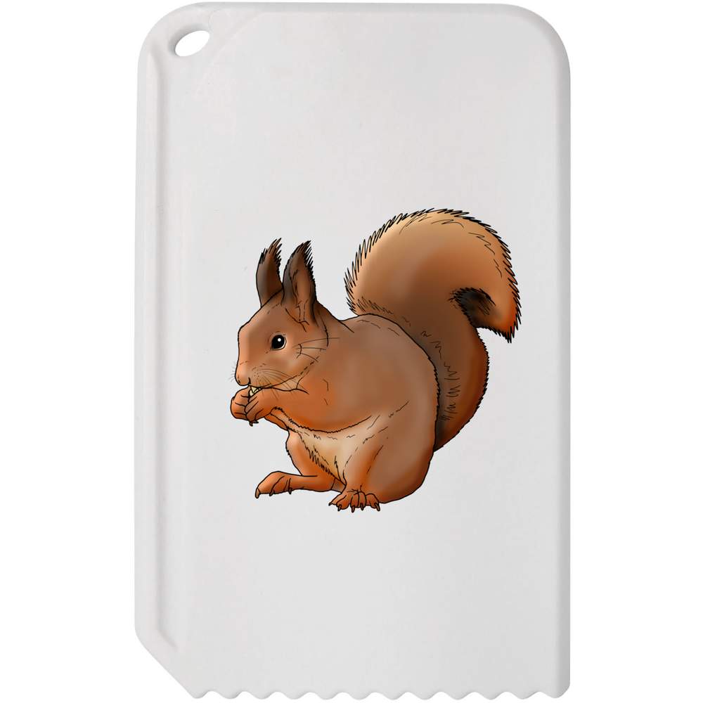 'Red Squirrel' Plastic Ice Scraper (IC00021749)