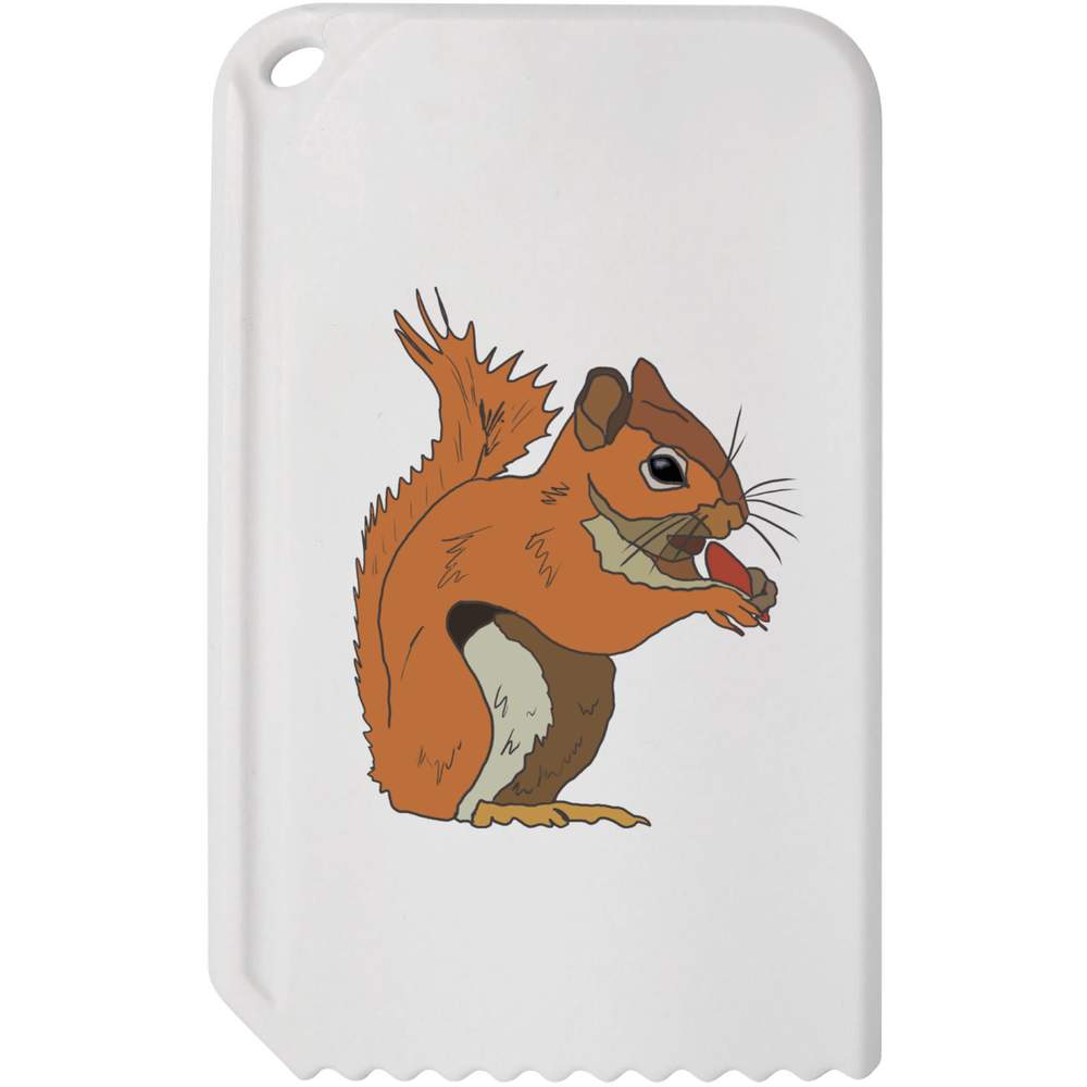 'Nutty Squirrel ' Plastic Ice Scraper (IC00030243)