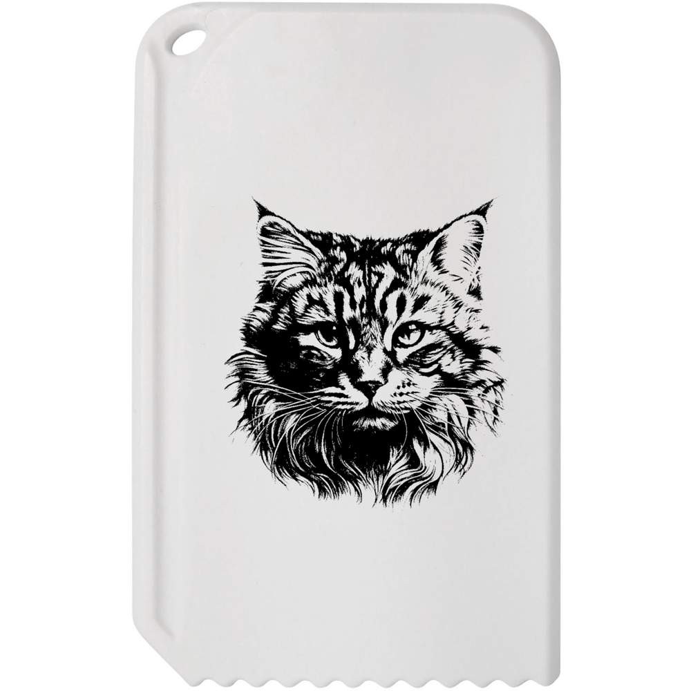 'Cat Face' Plastic Ice Scraper (IC00033893)