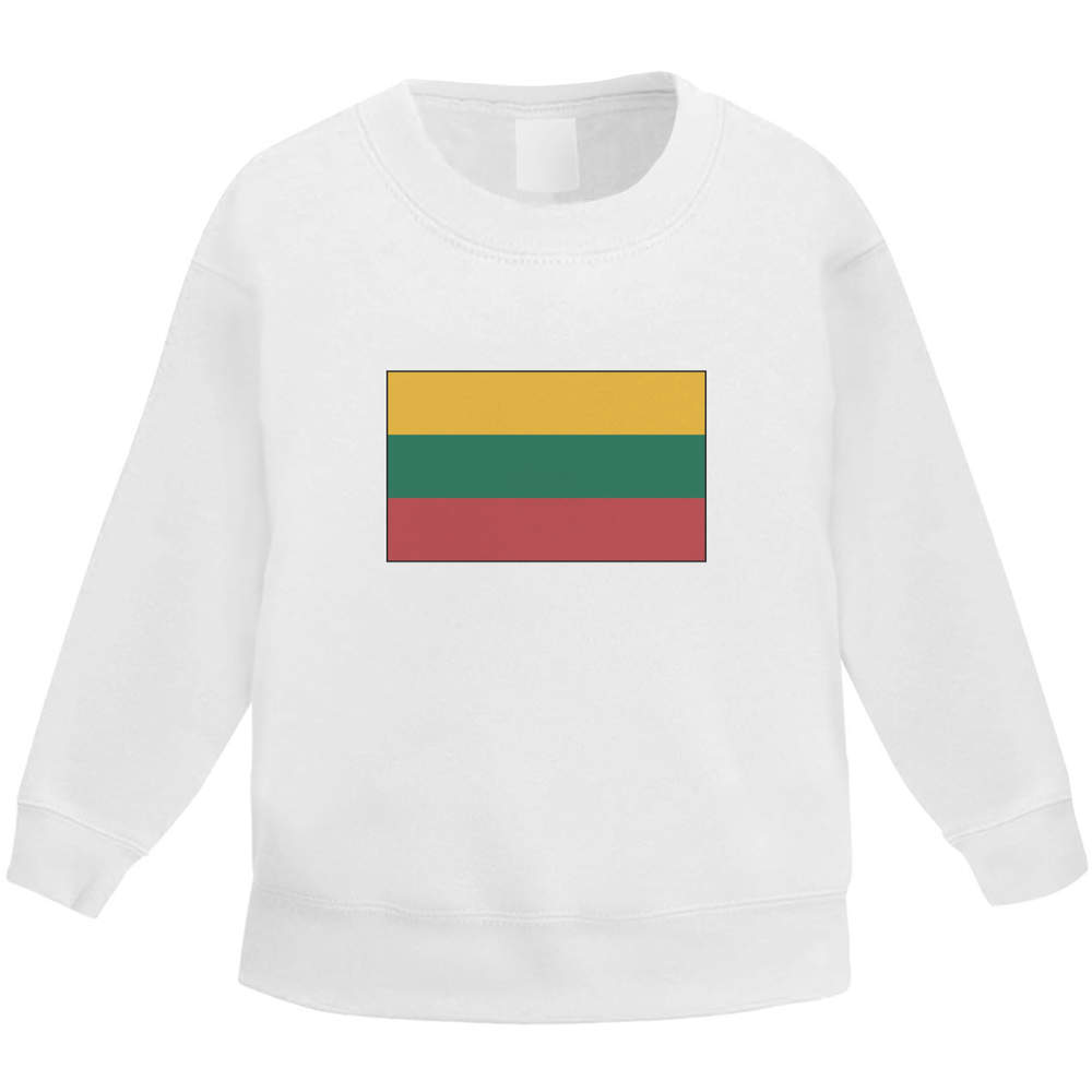 'Lithuania Flag' Kid's Sweatshirt / Sweater / Jumper (KW023893)