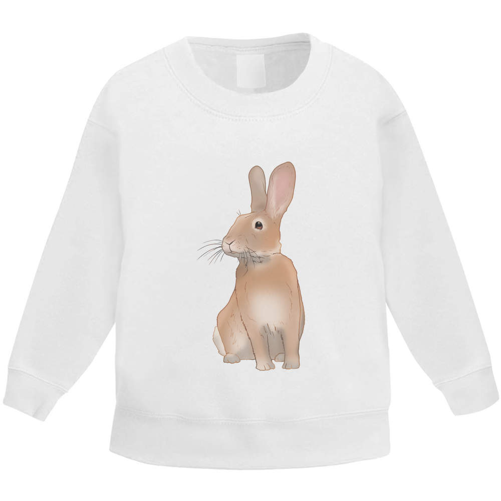 'Sitting Rabbit' Kid's Sweatshirt / Jumper (3-4 Years) (KW00198847)