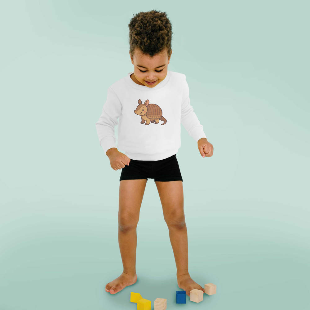 'Cute Armadillo' Kid's Sweatshirt / Sweater / Jumper (KW056739)