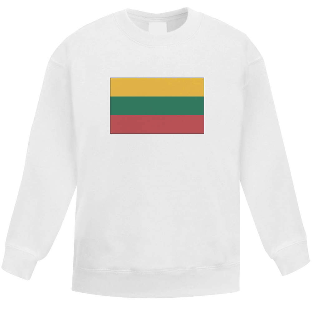 'Lithuania Flag' Kids Sweatshirt / Jumper - White, 9-11 Years - Childrens Top for School, Sports, Play and Outdoor Wear (KW00049750)