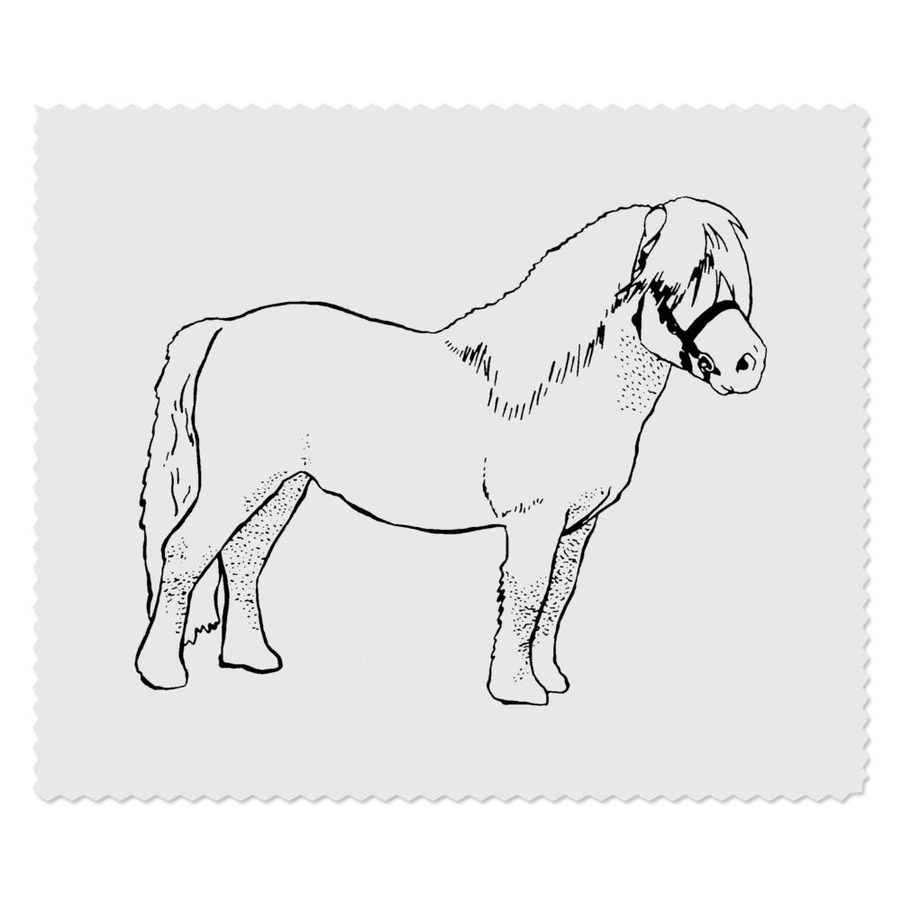 2 x 'Pony' Microfibre Lens / Glasses Cleaning Cloths (LC00007348)