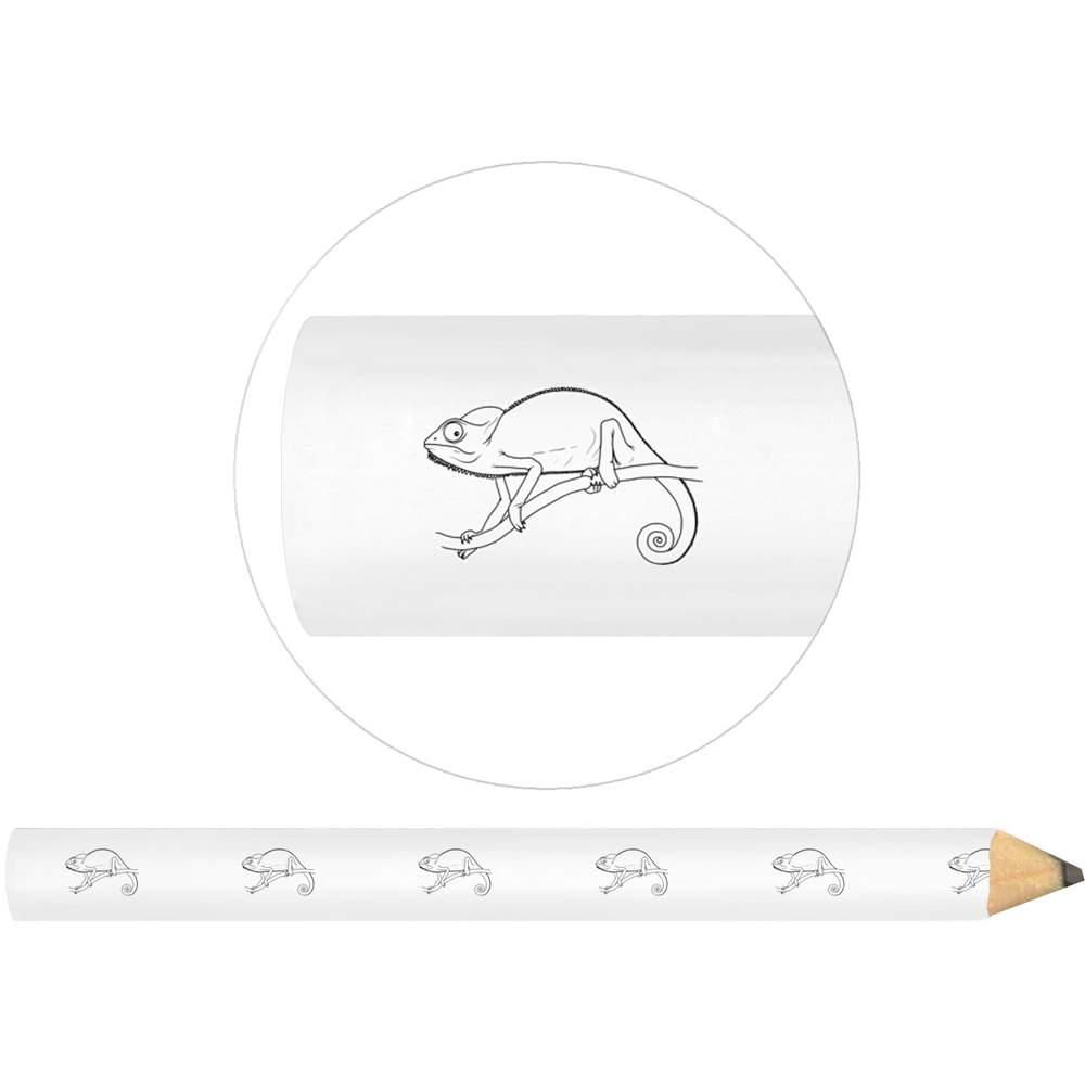 3 x 'Chameleon' Carpenter's Pencils (LP00018044)