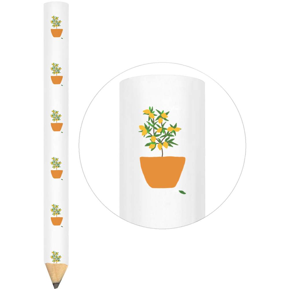 3 x 'Lemon tree' Carpenter's Pencils (LP00026274)