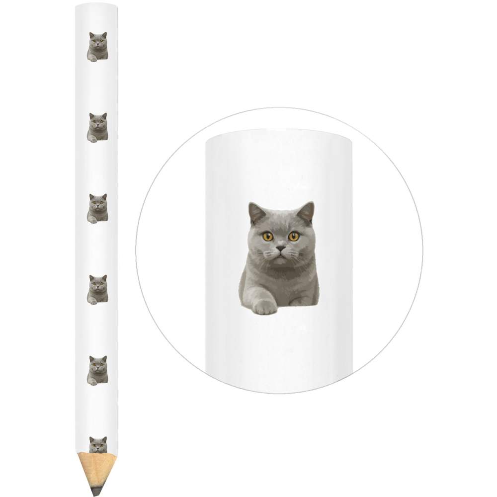 3 x 'British Shorthair Cat' Carpenter's Pencils (LP00040149)