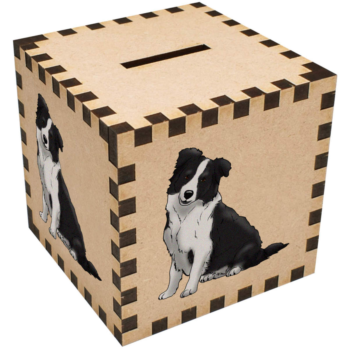 'Sitting Border Collie' Money Box / Piggy Bank (MB00096032)