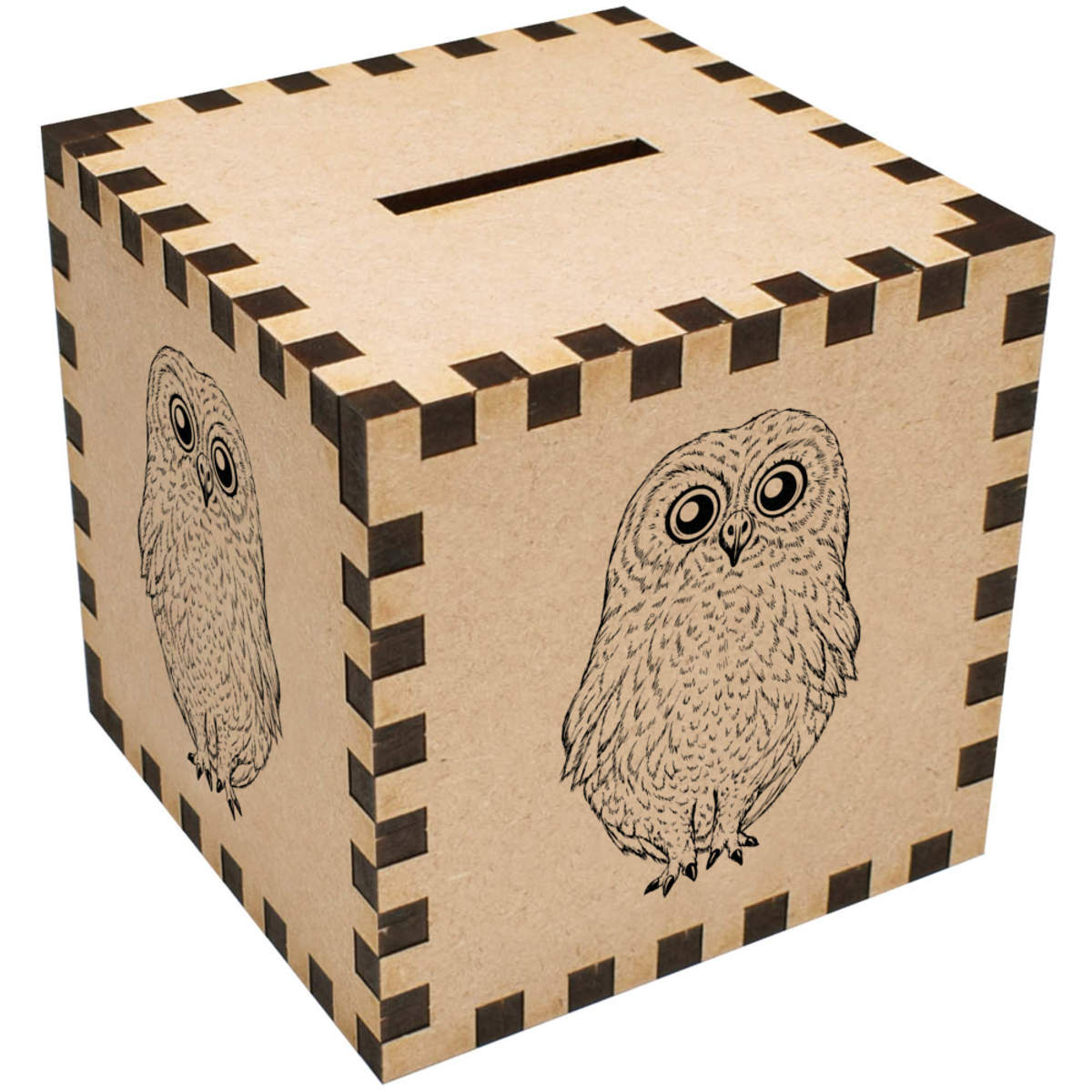 'Cute Owl' Money Box / Piggy Bank (MB00101874)