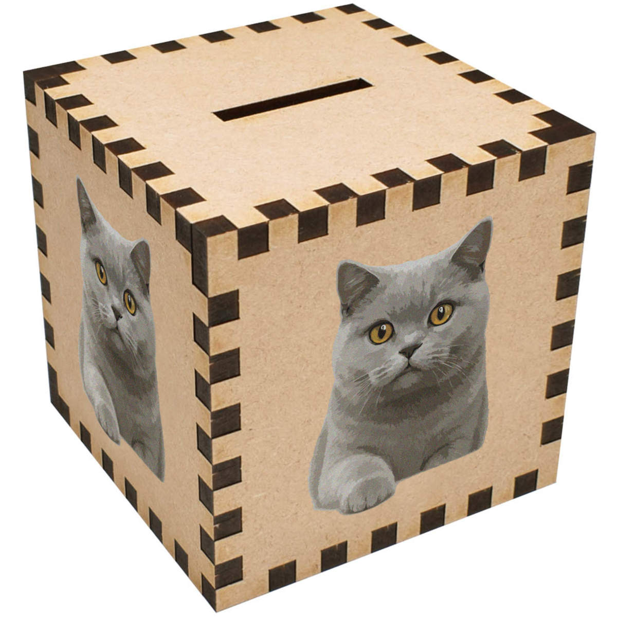 'British Shorthair Cat' Money Box / Piggy Bank (MB00116882)