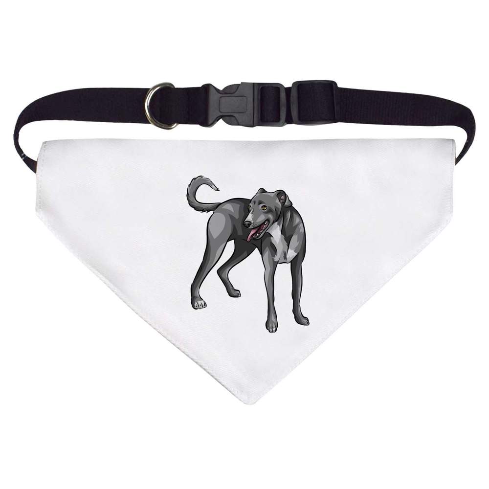 Large 'Lurcher' Dog / Cat / Pet Bandana (PD00025452)