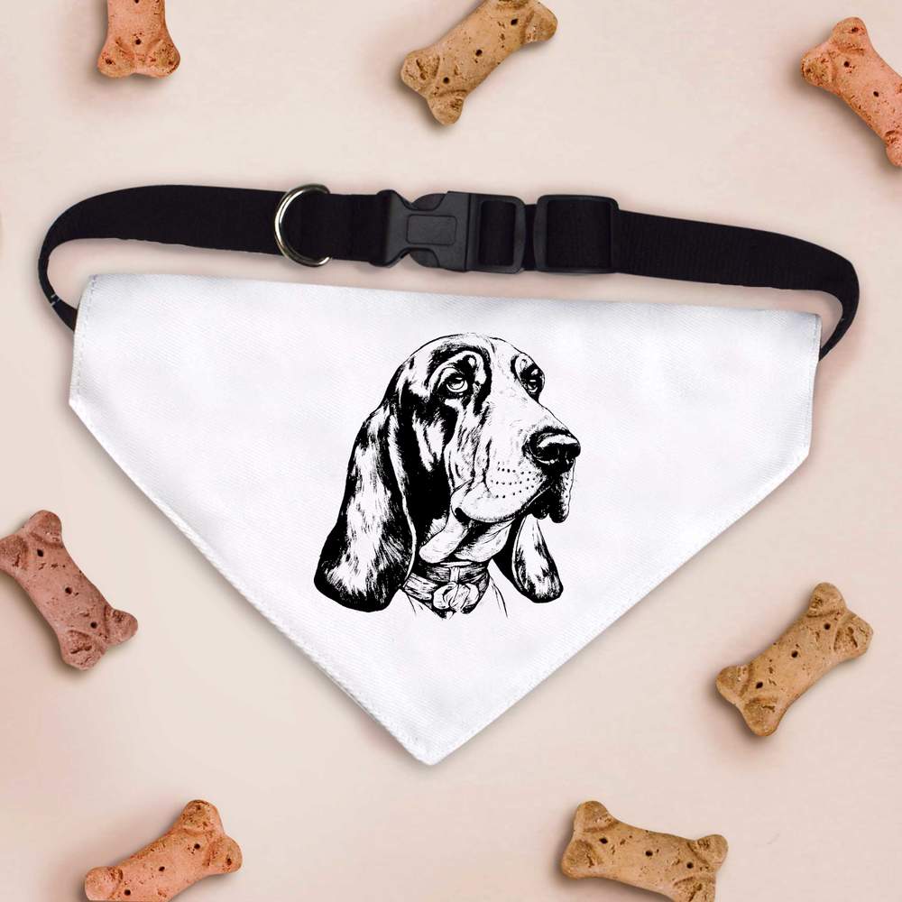 'Basset hound' Dog / Cat / Pet Bandana (PD040433) - Picture 9 of 9