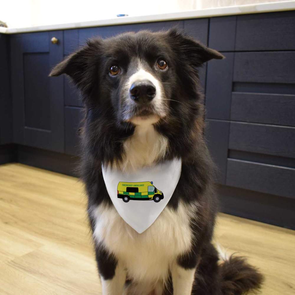 'Paramedics Van' Dog / Cat / Pet Bandana (PD040865) - Picture 10 of 12