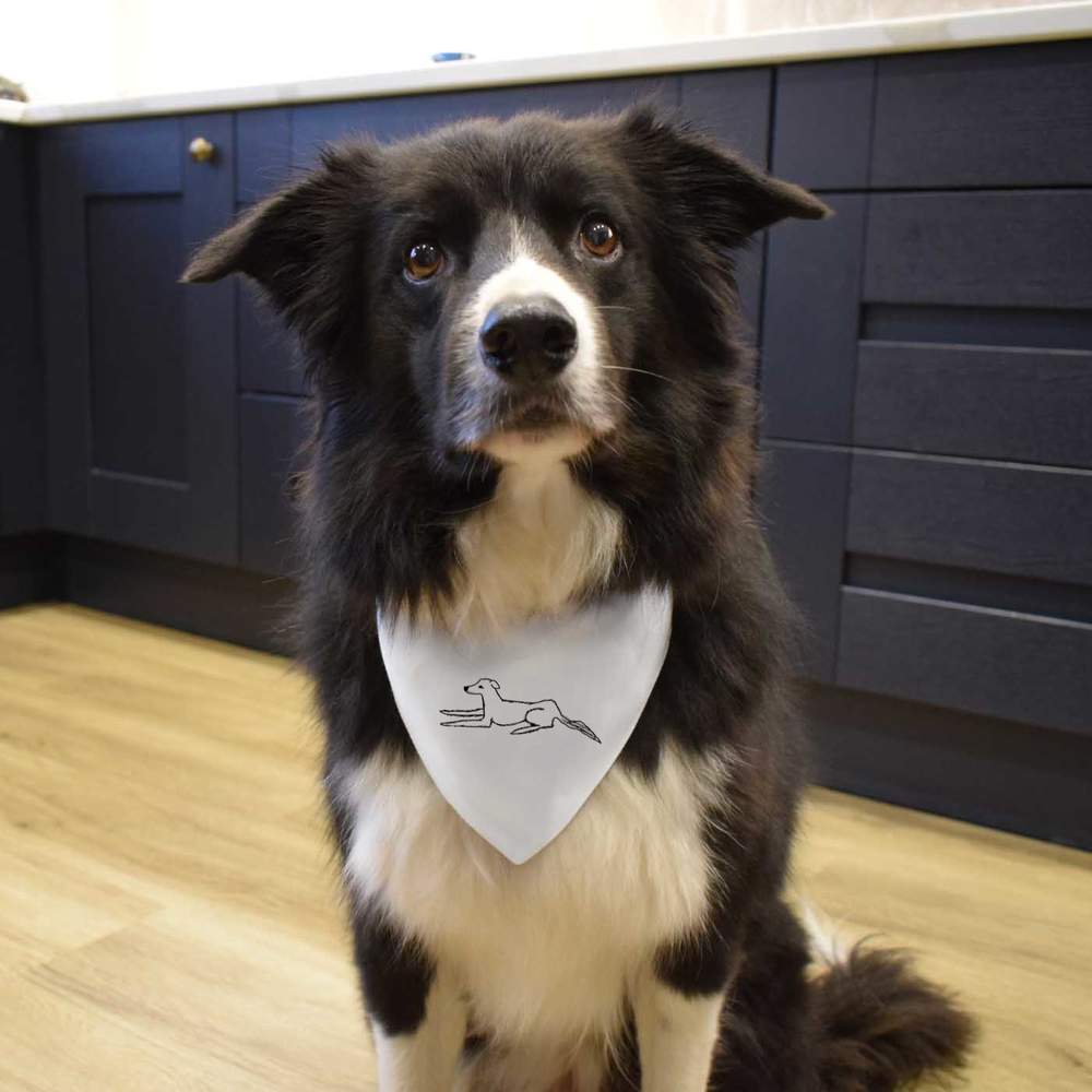 'Saluki' Dog / Cat / Pet Bandana (PD041473) - Picture 8 of 9