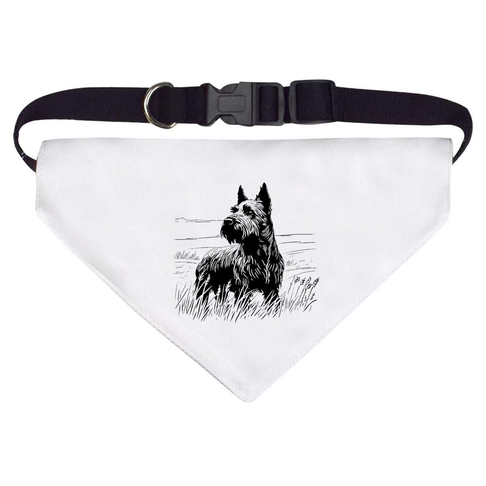 'Scottish Terrier' Dog / Cat / Pet Bandana (PD043176) - Picture 9 of 12