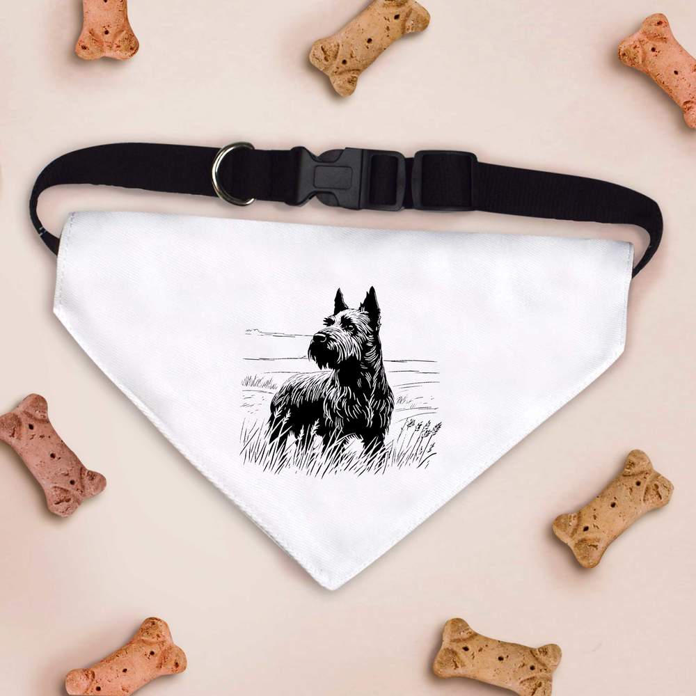 'Scottish Terrier' Dog / Cat / Pet Bandana (PD043176) - Picture 11 of 12