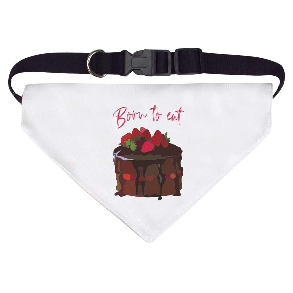 'Born to eat Chocolate Cake ' Dog / Cat / Pet Bandana (PD044752)