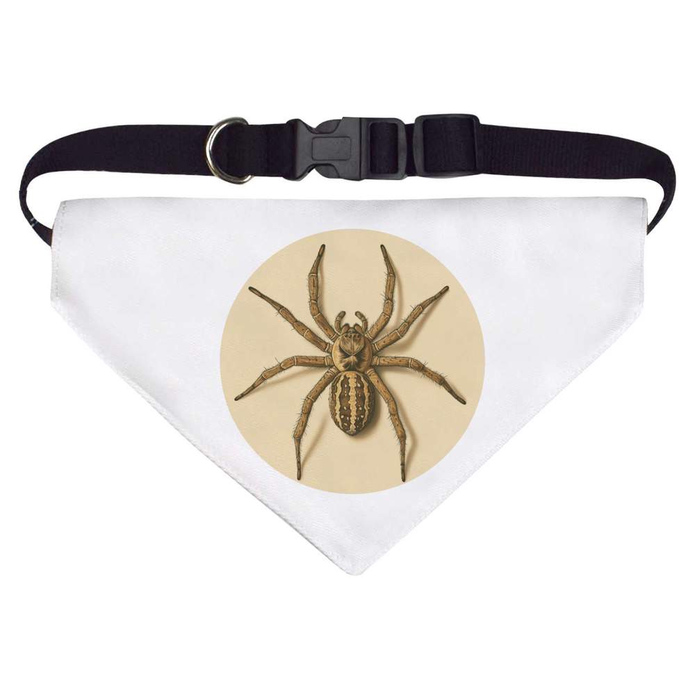 Large 'Spider Top View' Dog / Cat / Pet Bandana (PD00063588)