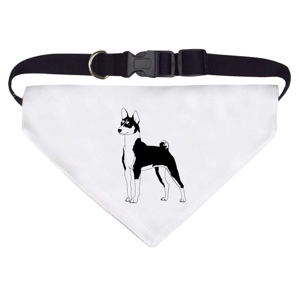 'Standing Basenji Dog' Dog / Cat / Pet Bandana (PD054566) - Picture 9 of 12