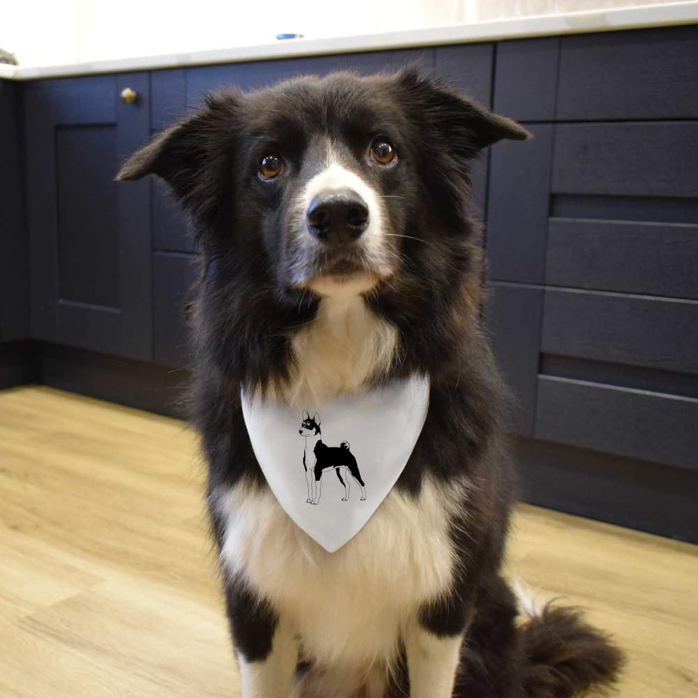 'Standing Basenji Dog' Dog / Cat / Pet Bandana (PD054566) - Picture 10 of 12