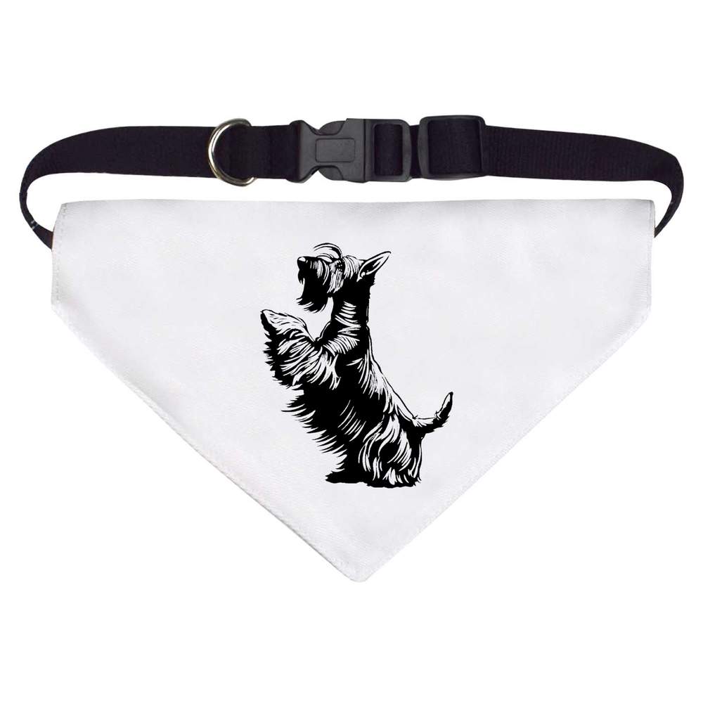 'Scottish Terrier on Hind Legs' Dog / Cat / Pet Bandana (PD054680) - Picture 9 of 12