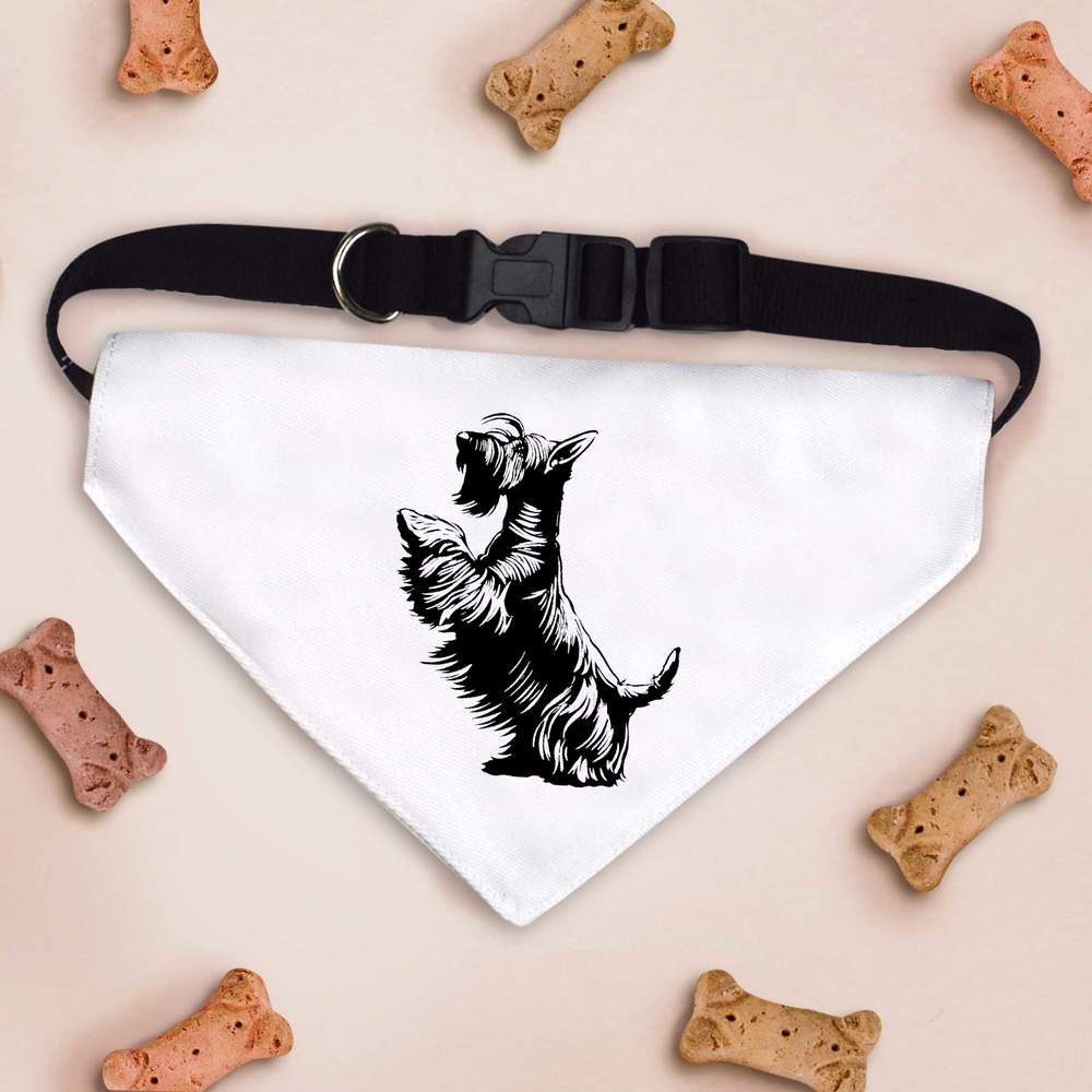 'Scottish Terrier on Hind Legs' Dog / Cat / Pet Bandana (PD054680) - Picture 11 of 12