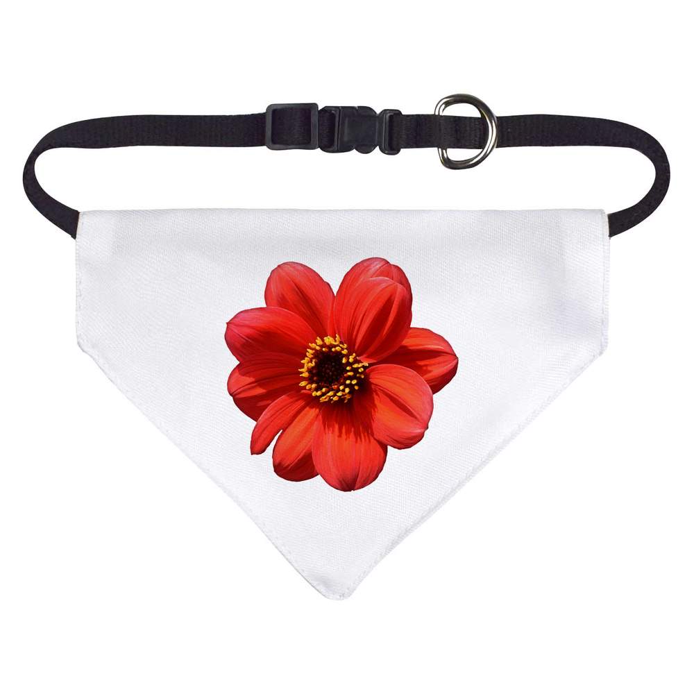 'Red Flower' Dog / Cat / Pet Bandana (PD025036)