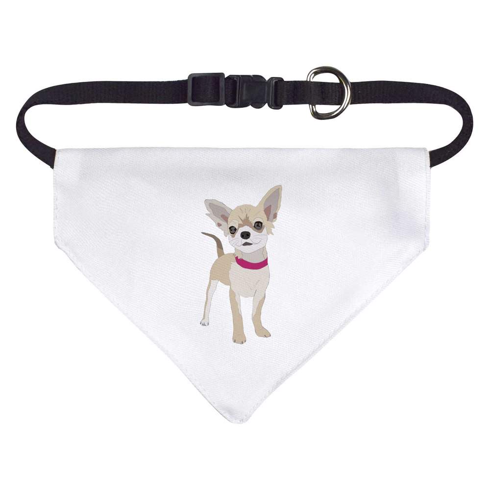 'Chihuahua' Dog / Cat / Pet Bandana (PD028508)