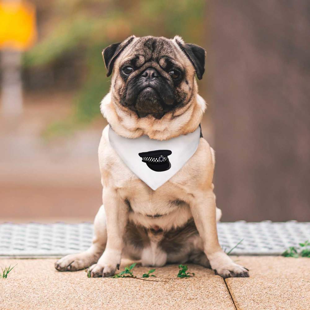 Police deals dog bandana