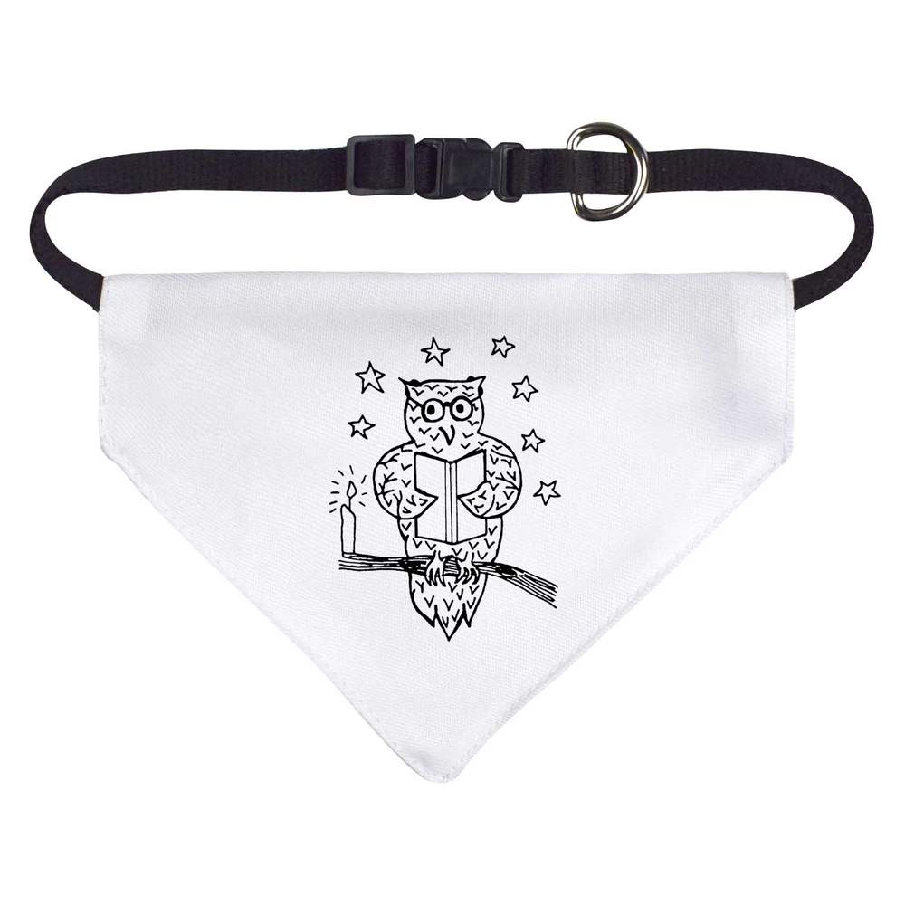 'Reading Owl' Dog / Cat / Pet Bandana (PD038026)
