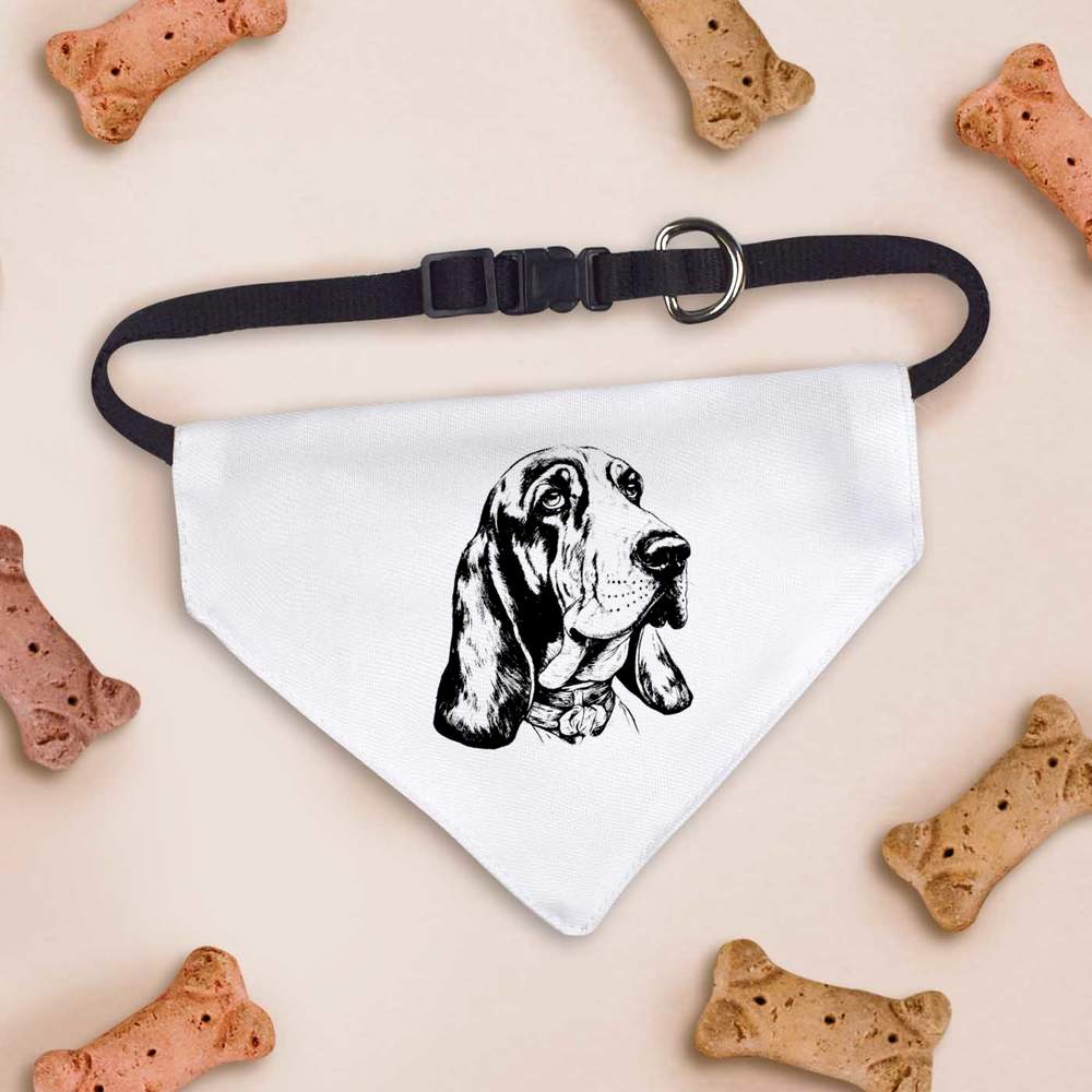 'Basset hound' Dog / Cat / Pet Bandana (PD040433) - Picture 6 of 9