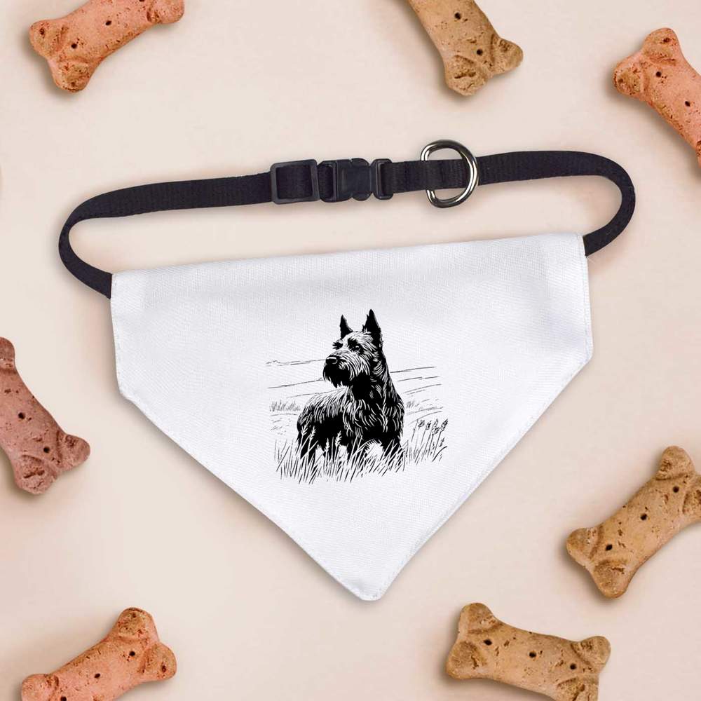 'Scottish Terrier' Dog / Cat / Pet Bandana (PD043176) - Picture 7 of 12