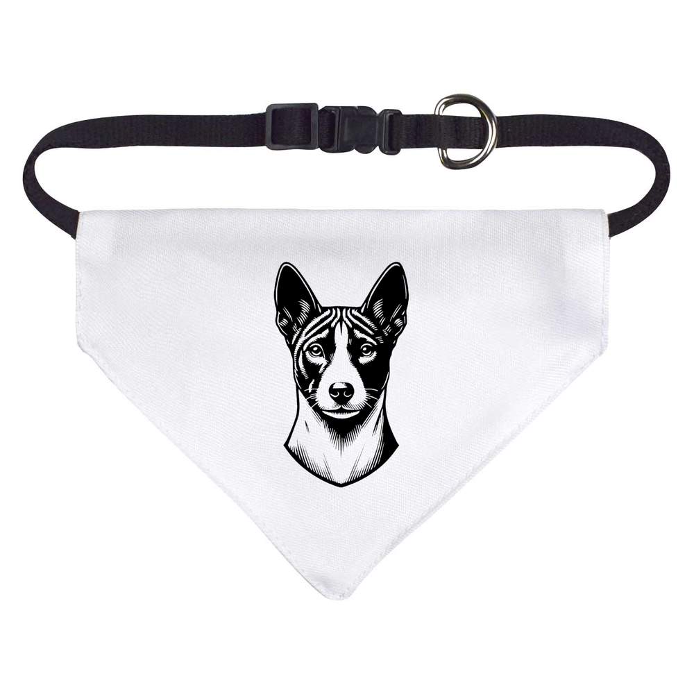 'Basenji' Dog / Cat / Pet Bandana (PD048541)