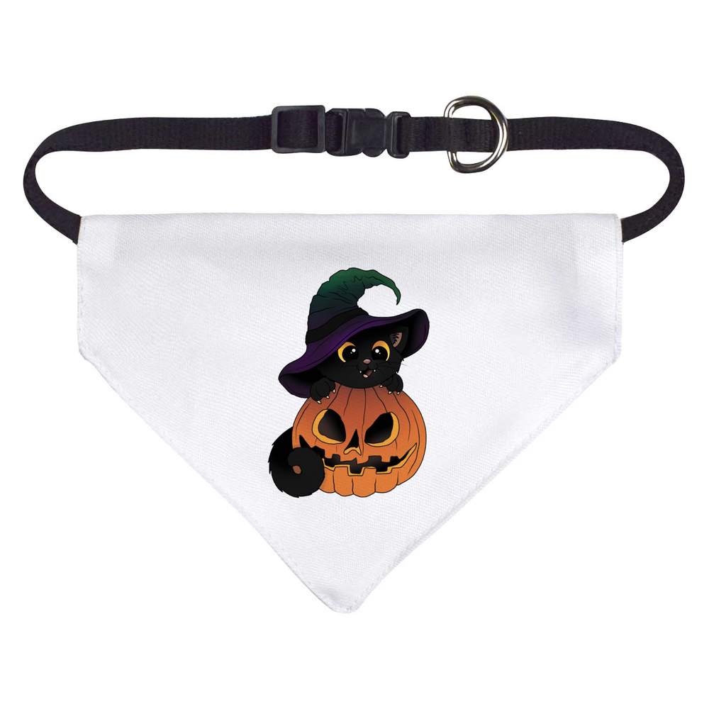 'Spooky Halloween Cat' Dog / Cat / Pet Bandana (PD050580)