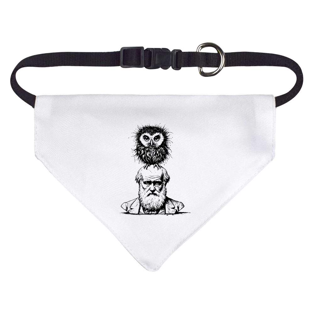 'Charles Darwin With Owl' Dog / Cat / Pet Bandana (PD051620)