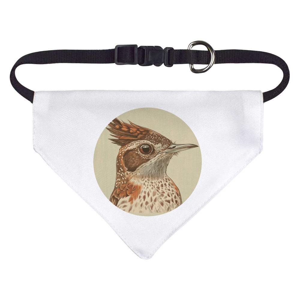 Small 'Rufous Naped Lark' Dog / Cat / Pet Bandana (PD00062023)