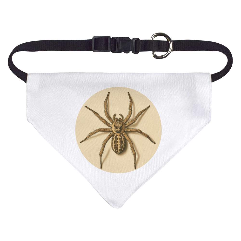 'Spider Top View' Dog / Cat / Pet Bandana (PD052925)