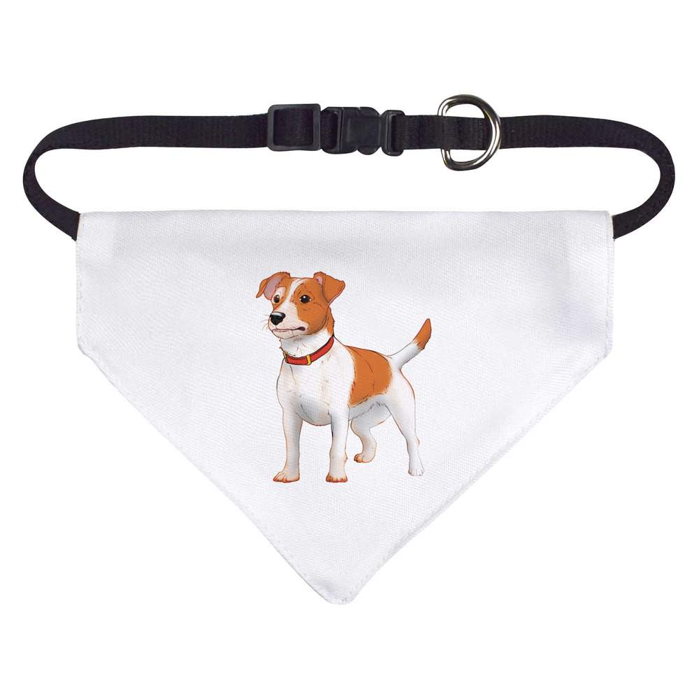 'Jack Russell Terrier' Dog / Cat / Pet Bandana (PD053582)