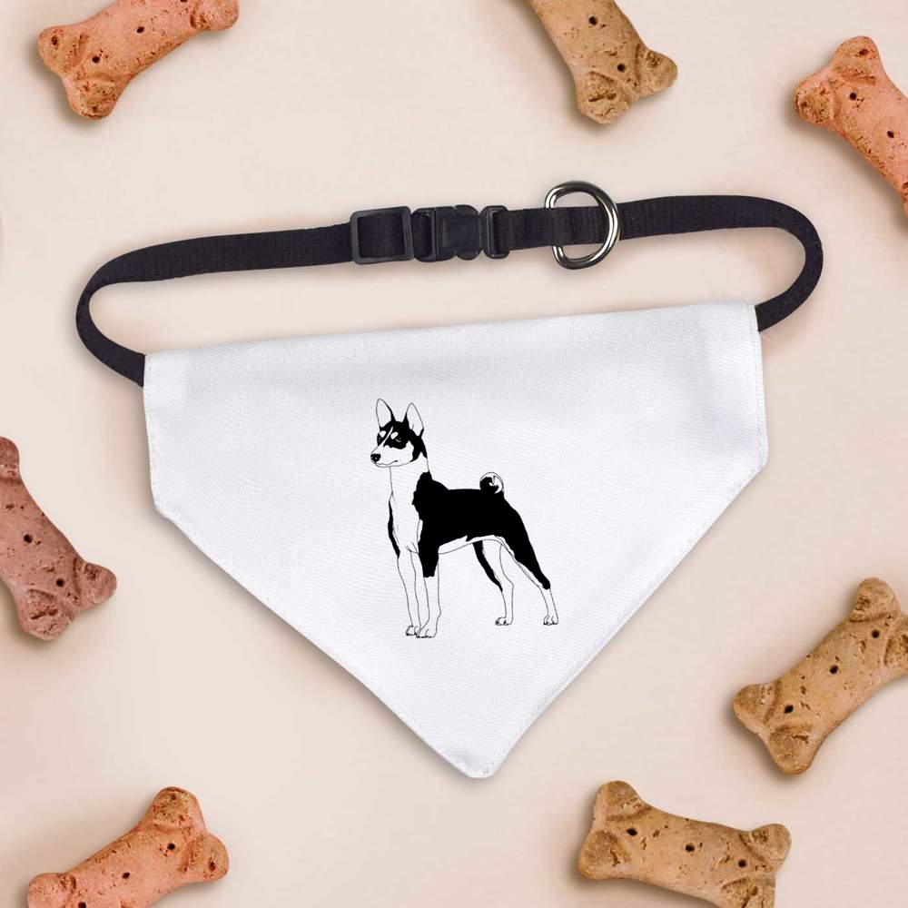 'Standing Basenji Dog' Dog / Cat / Pet Bandana (PD054566) - Picture 7 of 12