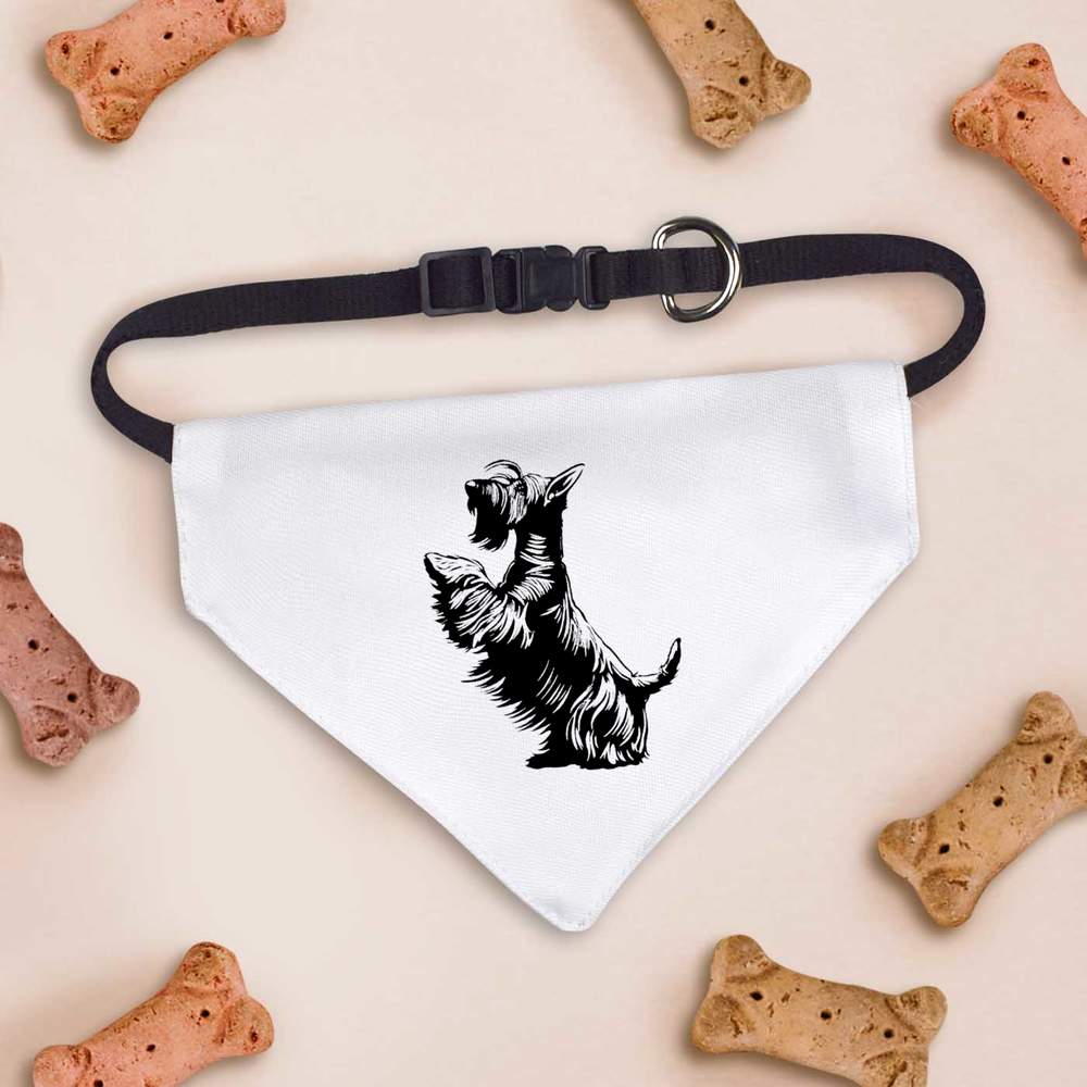 'Scottish Terrier on Hind Legs' Dog / Cat / Pet Bandana (PD054680) - Picture 7 of 12