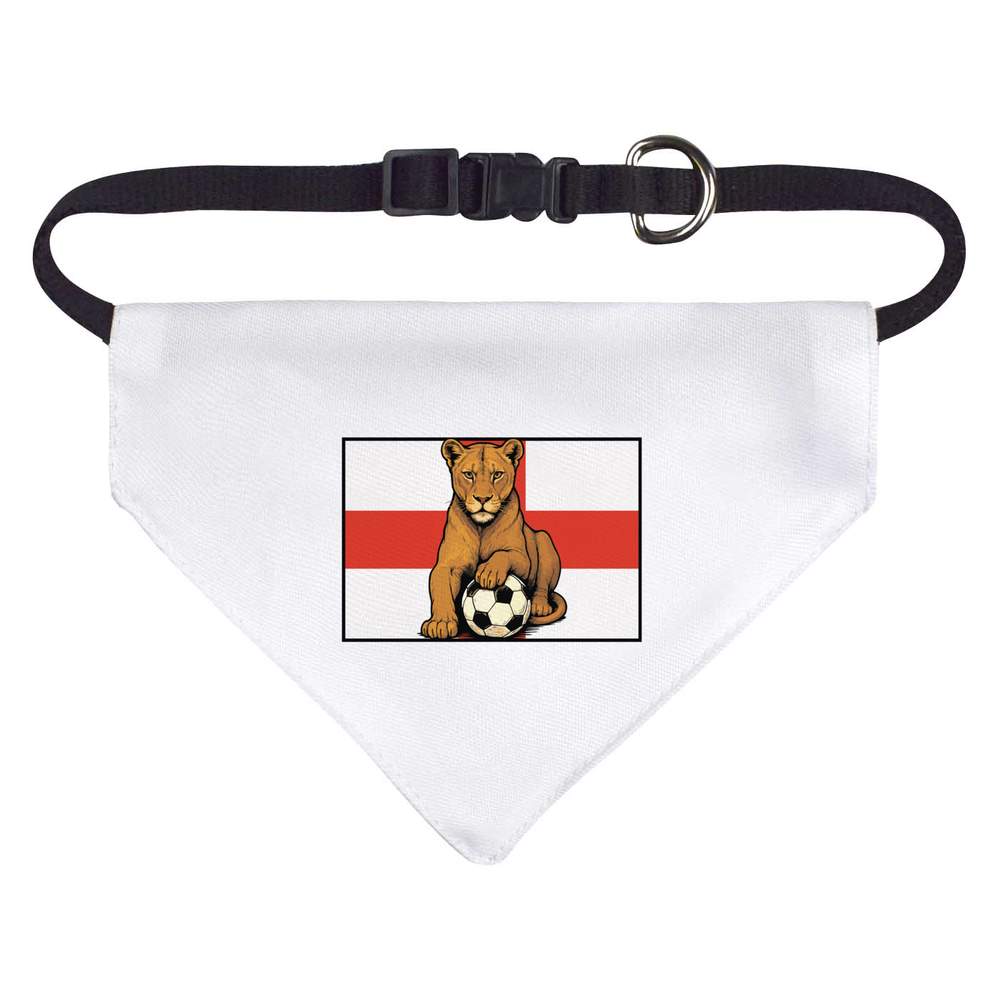 'Lioness With Football' Dog / Cat / Pet Bandana (PD055240)