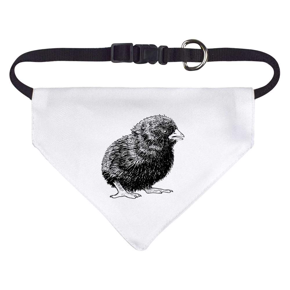 'Funny Chick' Dog / Cat / Pet Bandana (PD057468)