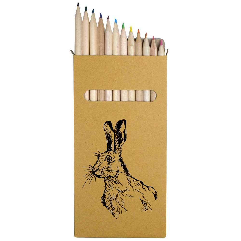 12 x 'Curious Rabbit' Long 178mm Coloured Pencils / Pencil Set (PE00008746)